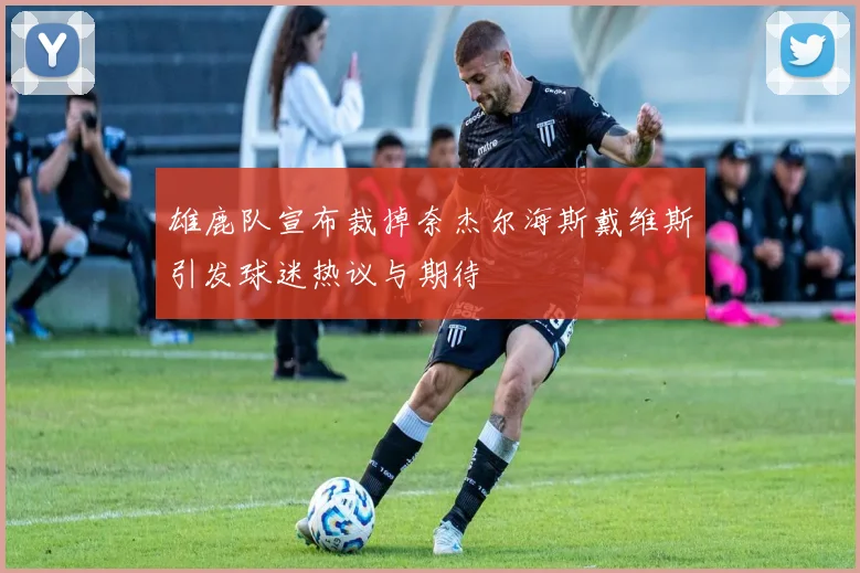 雄鹿队宣布裁掉奈杰尔海斯戴维斯引发球迷热议与期待